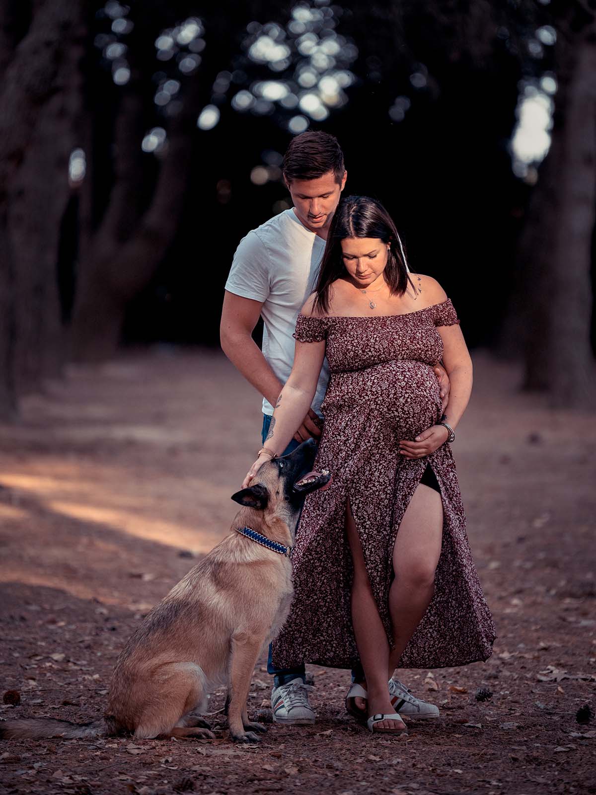 portrait d'un couple dont la femme est enceinte avec un chien dans une pinède