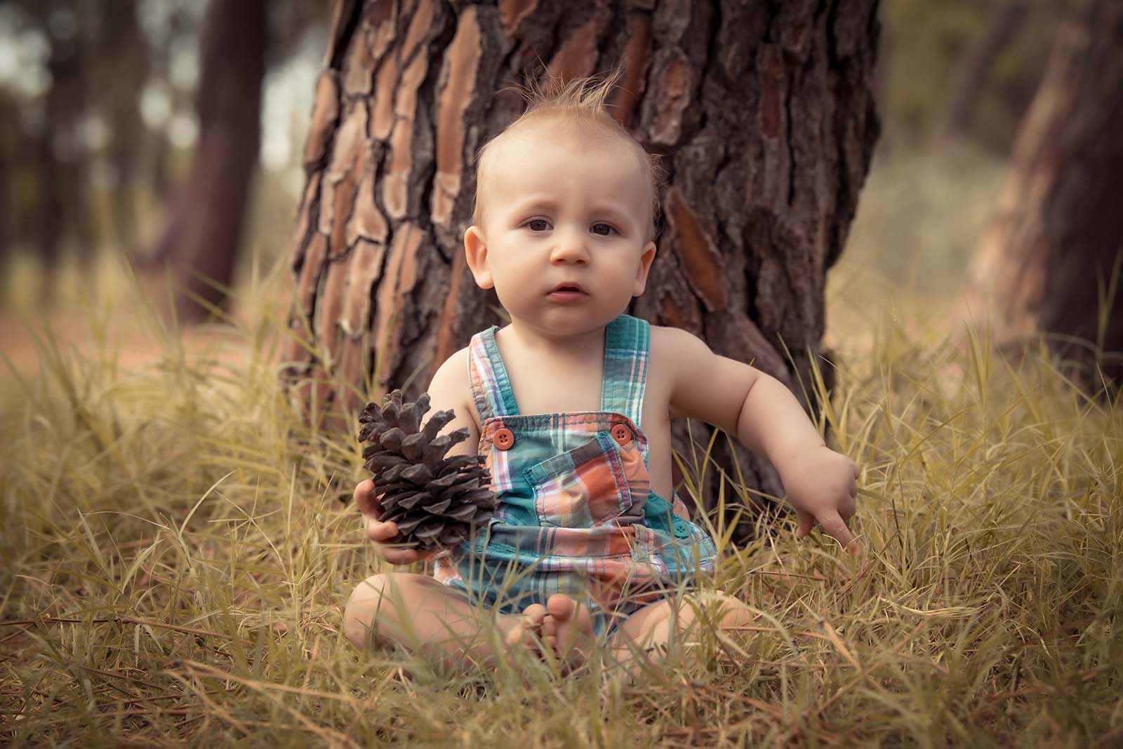 portrait d'un bébé assis dans l'herbe contre un arbre tenant une pomme de pin dans la main
