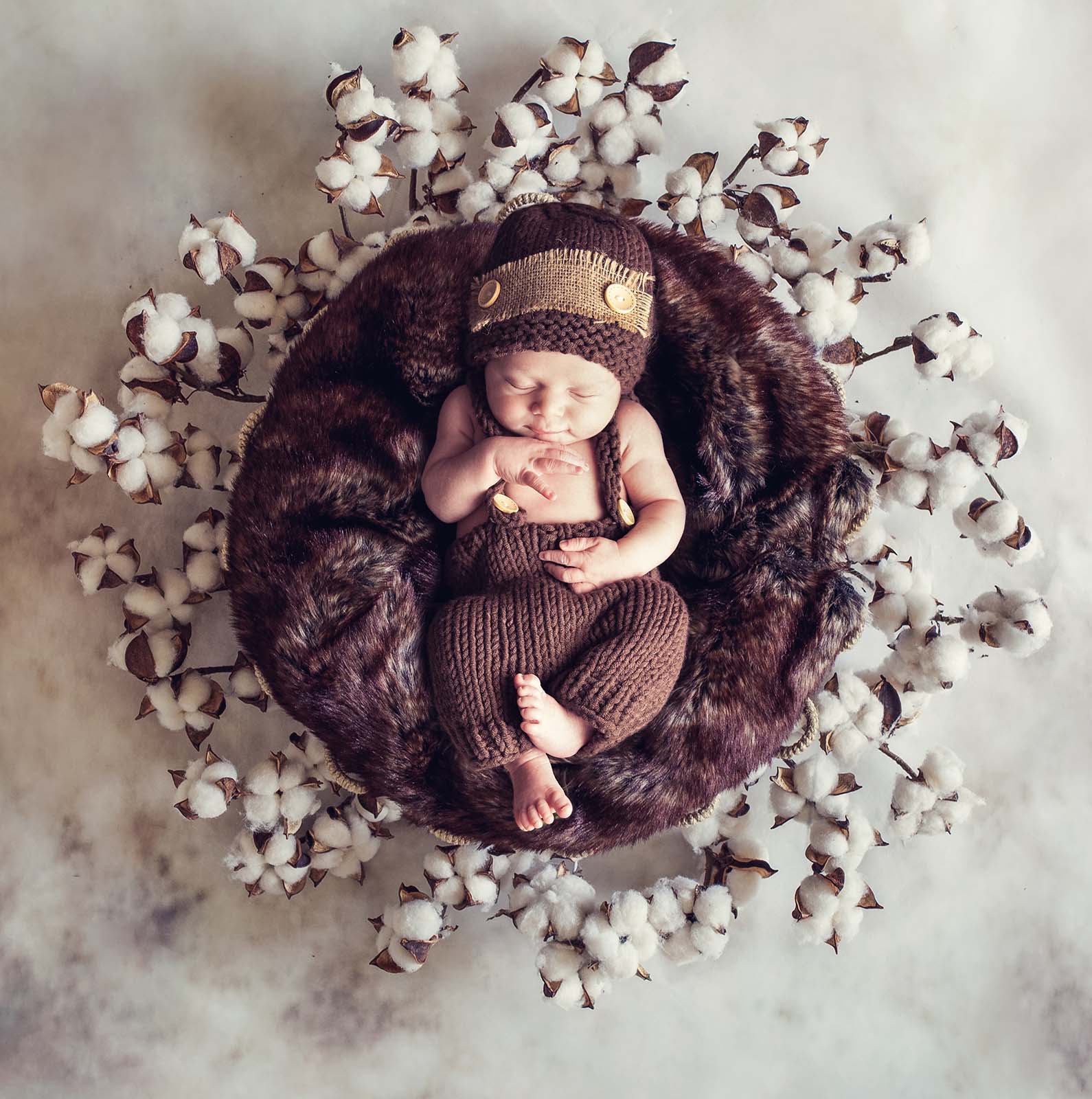 photo de bébé dans un contenant avec des fleurs de coton tout autour