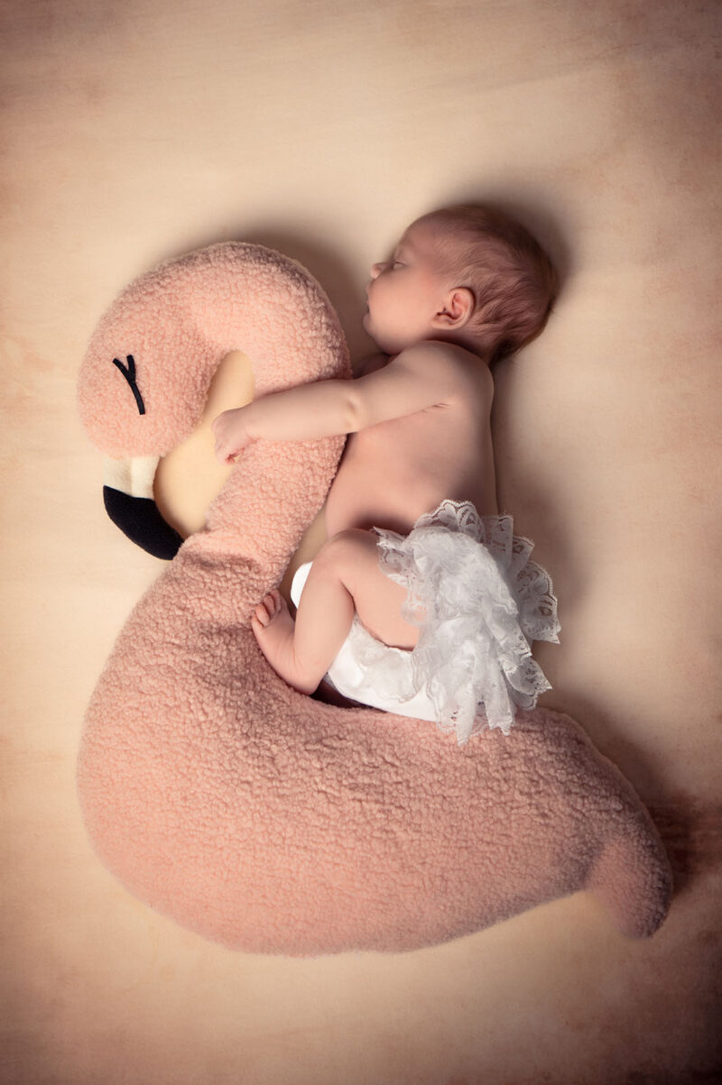 photo prise du dessus d'un bébé sur un flamant rose en peluche