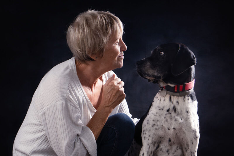 photo studio d'un chien de chasse qui se tient face à sa maitresse